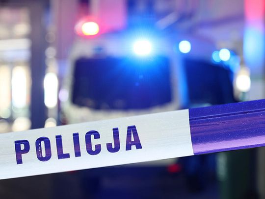 16 martwych psów na posesji pod Skierniewicami