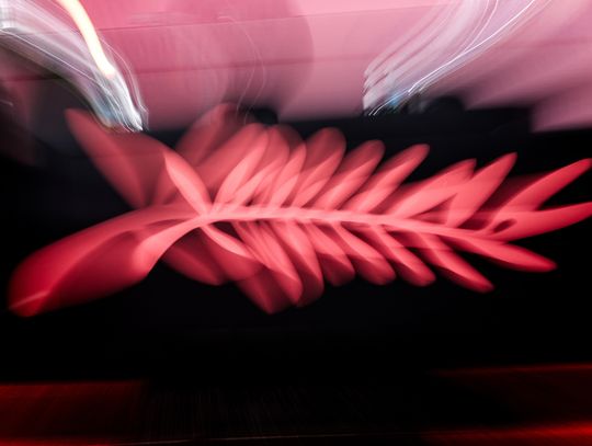 21 filmów, m.in. Pawlikowskiego, Farhadiego i Mungiu, powalczy o canneńską Złotą Palmę 21 filmów, m.in. Pawlikowskiego, Farhadiego i Mungiu, powalczy o canneńską Złotą Palmę