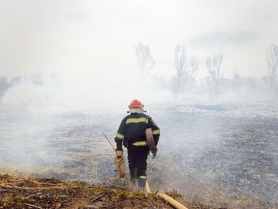 43 mln mieszkańców północnego wschodu objętych alertami z powodu zagrożenia pożarowego