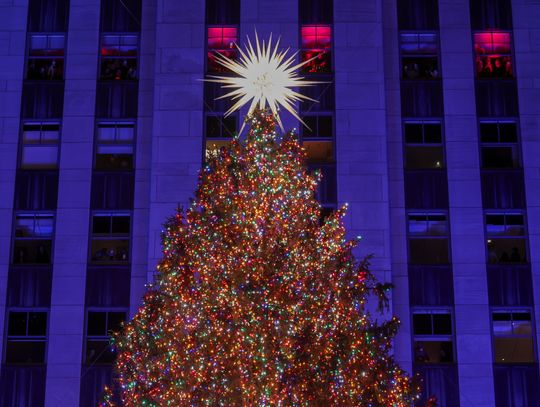 50 tysiącami lampek rozbłysła nowojorska choinka w Rockefeller Center