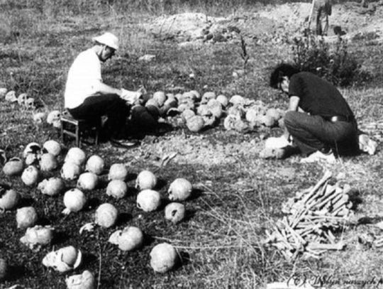 80 lat temu doszło do kulminacji ludobójstwa na Wołyniu