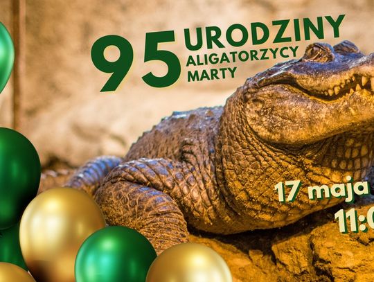 95 lat kończy aligatorzyca Marta, najstarsze zwierzę w ogrodach zoologicznych Europy