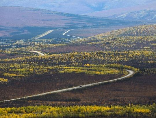 Alaska kwestionuje decyzję o ochronie lasów i pozywa administrację Joe Bidena