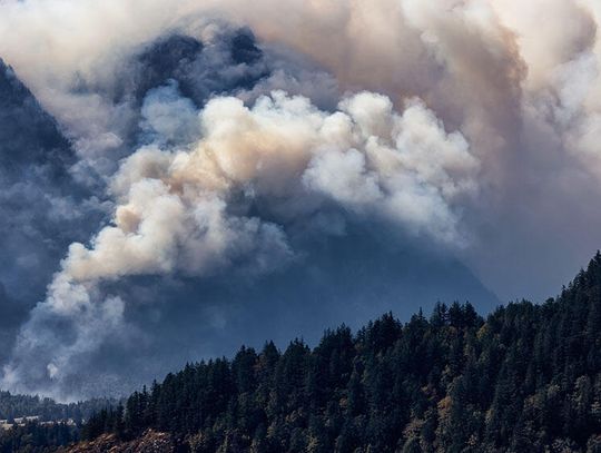 Amerykańscy politycy skarżą się na Kanadę za pożary lasów, w tle spór o drewno