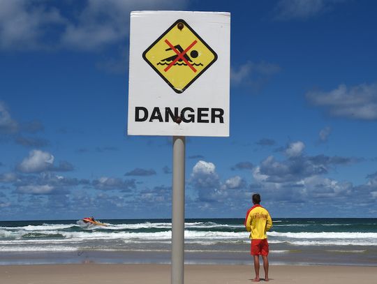 Australia. W Sydney zamknięto popularne plaże, bo rekiny zaatakowały delfina