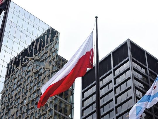 Biało-czerwona na Daley Plaza w Chicago