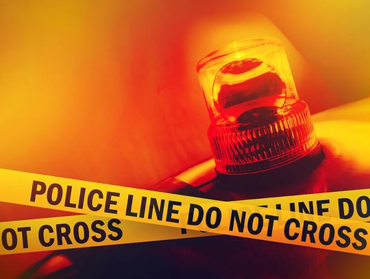 Bójki nastolatków w Louis Joliet Mall