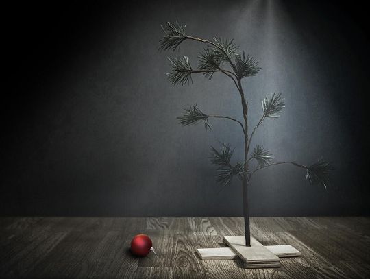 Boże Narodzenie w obozach /  Christmas in the Camps