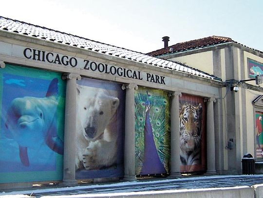 Brookfield Zoo ogłasza bezpłatne dni wstępu w styczniu i lutym