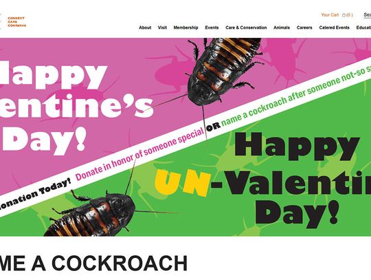 Brookfield Zoo zachęca: nazwij karalucha imieniem byłego ukochanego