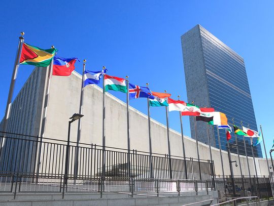 Burmistrz Chicago wezwał ONZ do zbadania nalotów imigracyjnych i cięć w pomocy żywnościowej