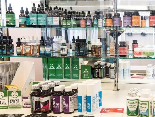 Burmistrz zawetował zakaz sprzedaży produktów hemp Burmistrz zawetował zakaz sprzedaży produktów hemp