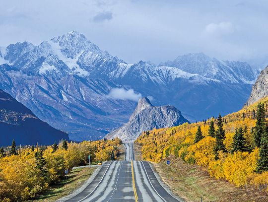 Cena za lodową krainę