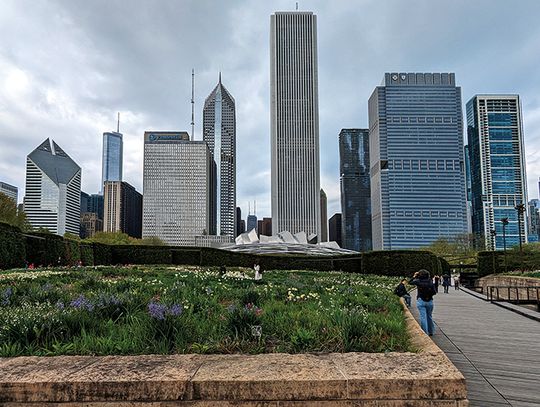 Chicago trzecim największym miastem, mimo spadku populacji 