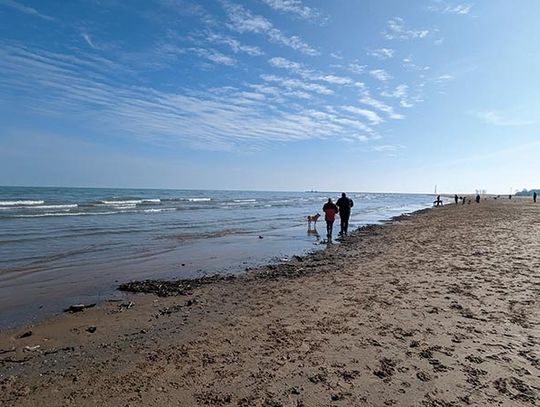 Chicagowskie plaże otwarte od piątku, a baseny – zamknięte