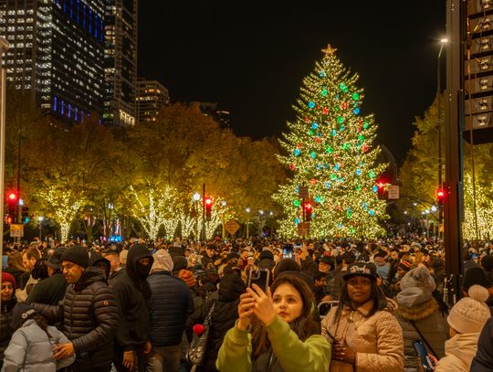 Choinka już świeci! Czas na świętowanie! (WIDEO | ZDJĘCIA)