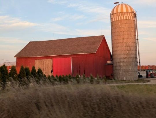 Ciało w oborniku na farmie w Wisconsin