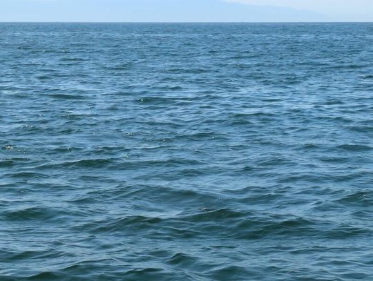 Ciało w rzece Chicago i w jeziorze Michigan