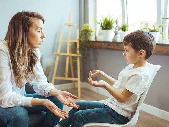 Coś więcej niż krytyka Coś więcej niż krytyka