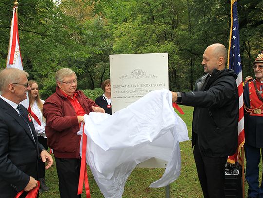 Dąb rotmistrza Witolda Pileckiego i Tablica Fundatorów Dębowej Alei Niepodległości w Yorkville