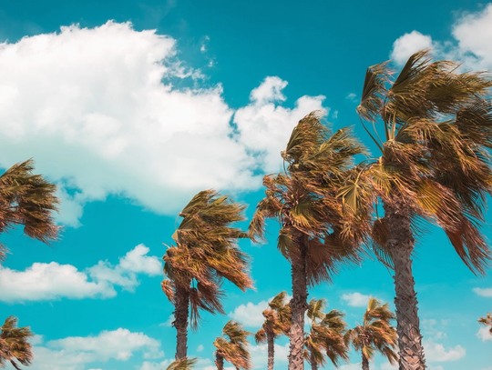 Driving in Bali vs. Dubai: How Climate and Roads Affect Car Safety