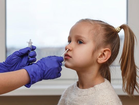 Dzieci bardziej wrażliwe na nowy subwariant Covid-19 o nazwie Cykada Dzieci bardziej wrażliwe na nowy subwariant Covid-19 o nazwie Cykada