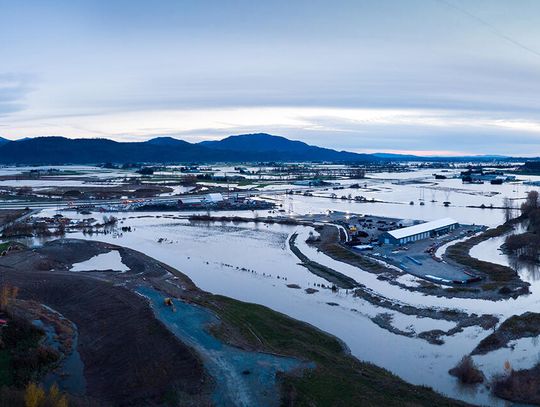 Dziesiątki tysięcy odbiorców bez prądu po wichurach i marznącym deszczu Dziesiątki tysięcy odbiorców bez prądu po wichurach i marznącym deszczu