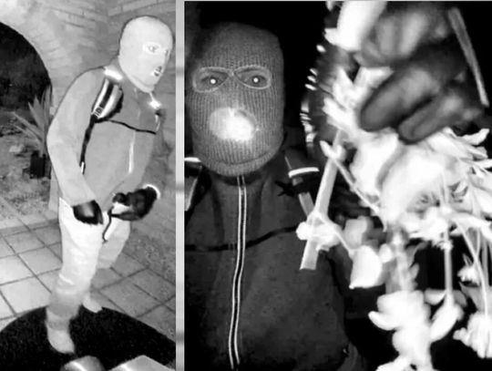 FBI publikuje zdjęcia i nagrania w sprawie zaginięcia Nancy Guthrie (WIDEO)