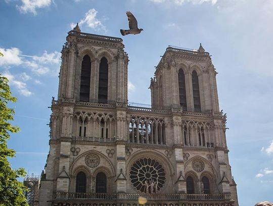 Francja. Puryści językowi pozwali do sądu zarząd katedry Notre-Dame za preferowanie języka angielskiego