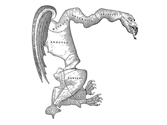 Gerrymandering, czyli kto i po co manipuluje granicami okręgów wyborczych