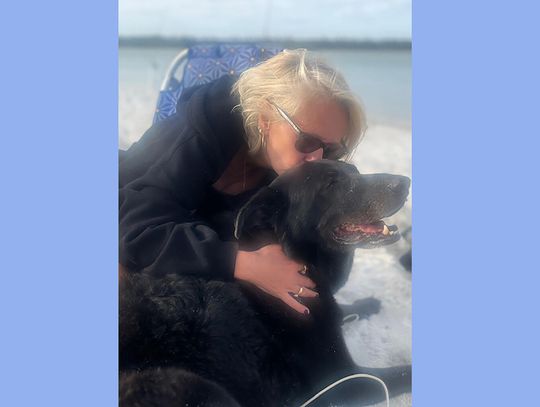 Granice milczenia: o żałobie po zwierzęciu