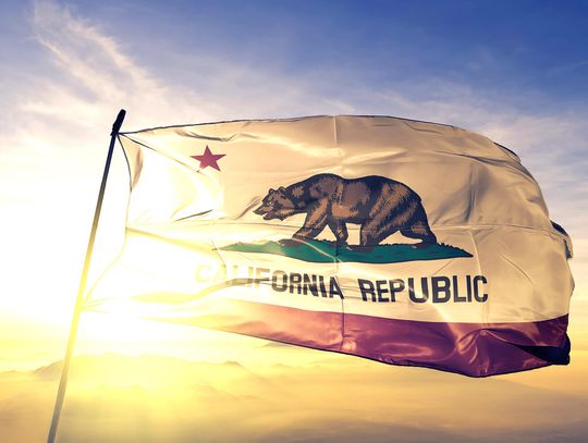 Gubernator Kalifornii: stany nie mogą dokonywać wzajemnych inwazji