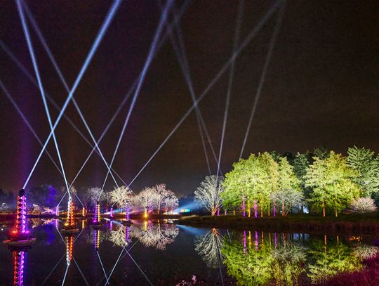 Illumination: Tree Lights at The Morton Arboretum opens this week with IllumiBrew preview