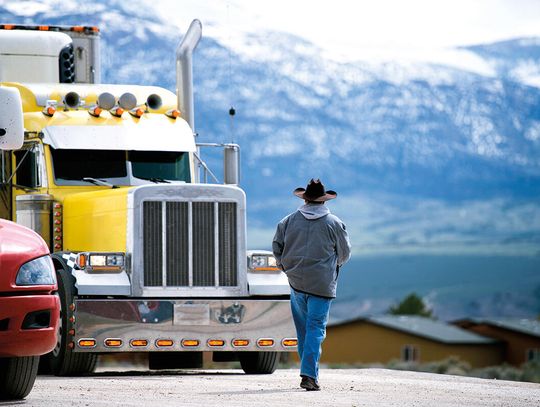 Imigranci tracą zawodowe prawa jazdy: decyzja, która może podnieść ceny