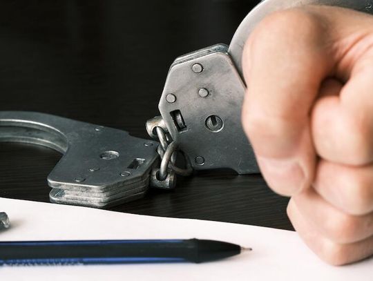 Interpol: 20 zatrzymanych w 12 krajach w operacji wymierzonej w pornografię dziecięcą