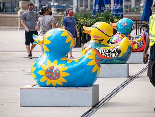 “Kaczuszki na Mag Mile” i wirtualne Duck Derby (ZDJĘCIA)