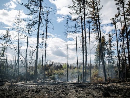 Kanada. Kolumbia Brytyjska wprowadziła z powodu pożarów ograniczenia w podróżach