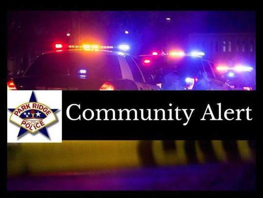 Kłótnia w Des Plaines zakończona samobójstwem w Park Ridge