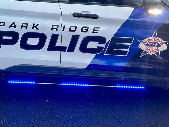 Kobieta zmarła po potrąceniu na ulicy w Park Ridge