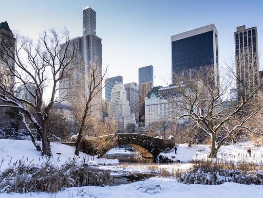Kolejna fala mrozów nawiedziła Nowy Jork