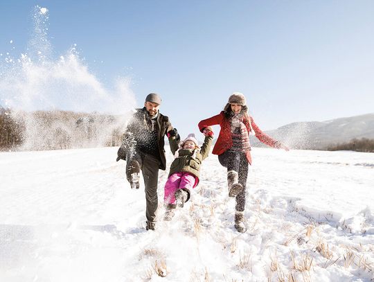 Korzenie i skrzydła Korzenie i skrzydła