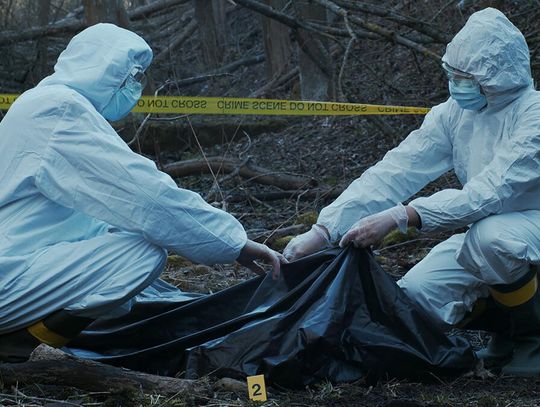 Ludzkie kości w lesie w Barrington Ludzkie kości w lesie w Barrington