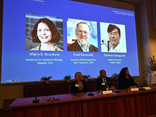 Medyczny nobel za regulację odpowiedzi immunologicznej