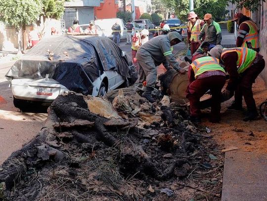 Meksyk. Dwie osoby zginęły, zniszczenia w szpitalach po trzęsieniu ziemi