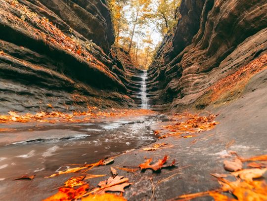 Mieszkaniec północnych przedmieść spadł z urwiska w parku stanowym Starved Rock w Illinois