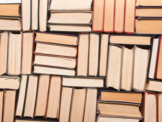 Moje książki są moimi przyjaciółmi | My Books are My Friends