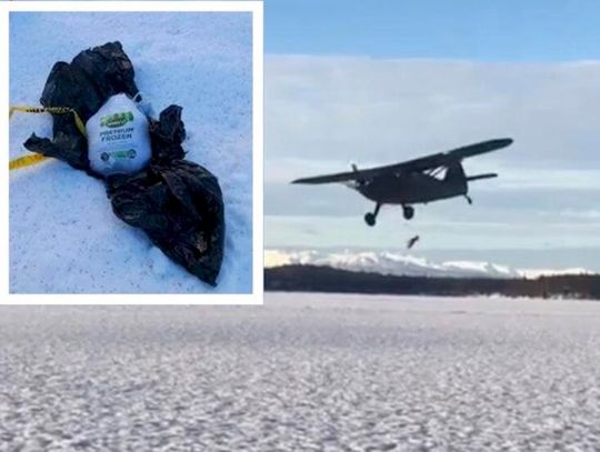 Na Alasce niektórym z nieba spadną w czwartek indyki (WIDEO)