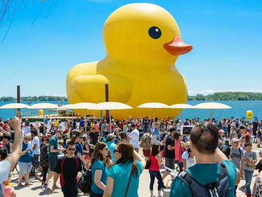 Największa na świecie gumowa kaczka zawita do Waukegan