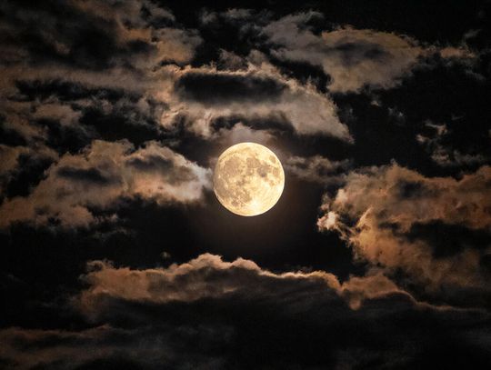 NASA ogłosiła konkurs na ekologiczne rozwiązanie problemu śmieci pozostawionych na Księżycu
