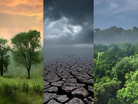 Naukowczyni z Rutgers: świat akademicki jest pod presją polityki Trumpa